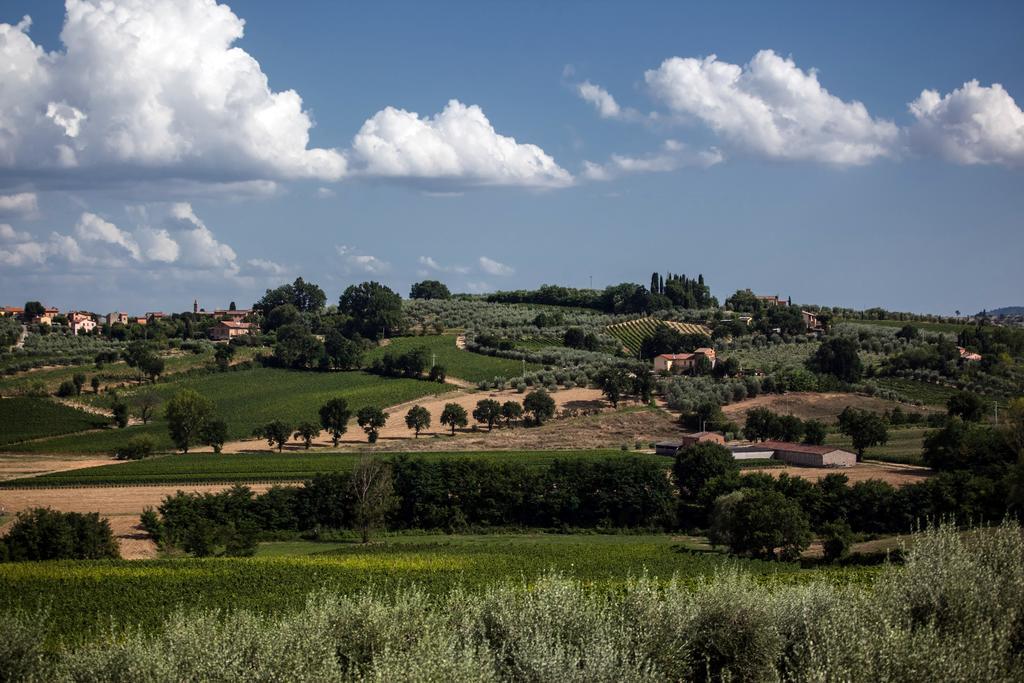 Agriturismo Sanguineto Acquaviva  Exterior photo